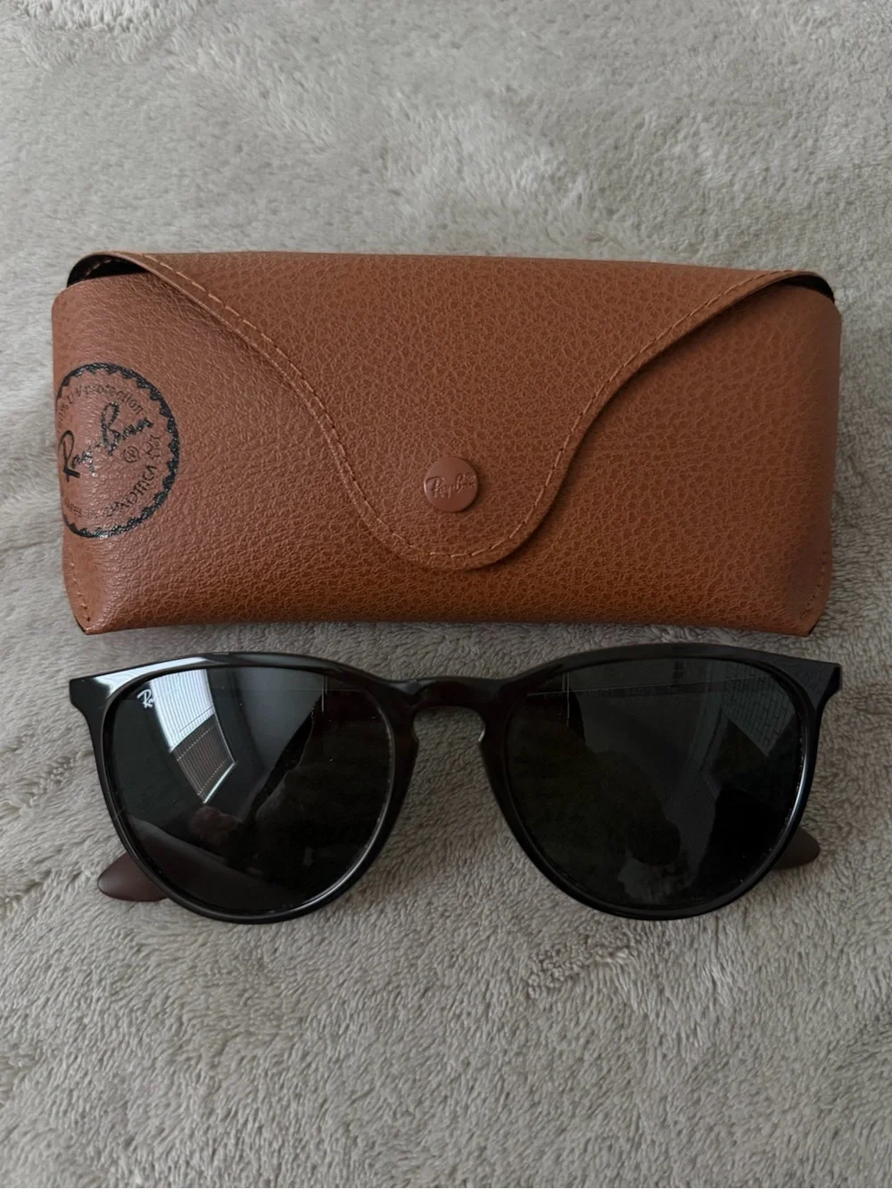Ray-Ban Black Frame Sunglasses with Dark Lenses